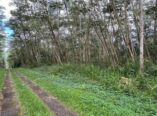 Paradise Rd LOT 291, Pahoa, HI 96778