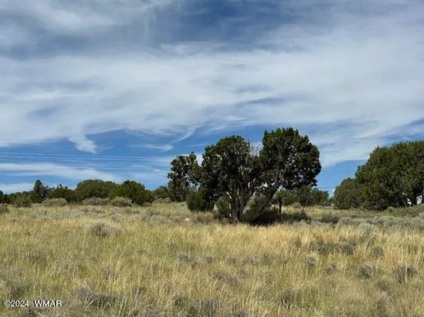 5 Colorado Ave, Concho, AZ 85924