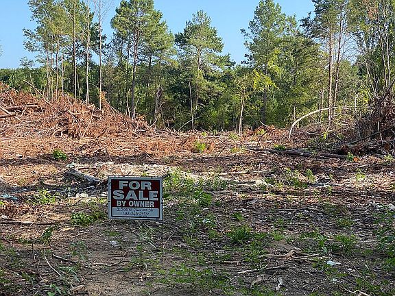 2nd image of 18431 County Road 2153 #1