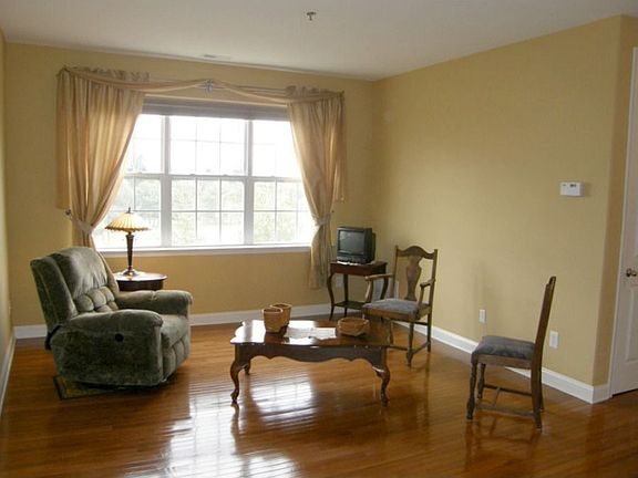 Sun Splashed Living Room