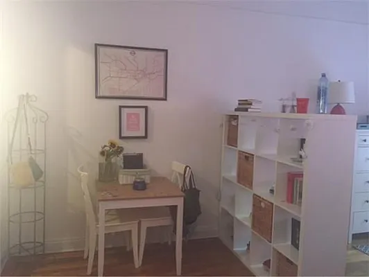 Rented by Pink Stone Realty LLC | media 3