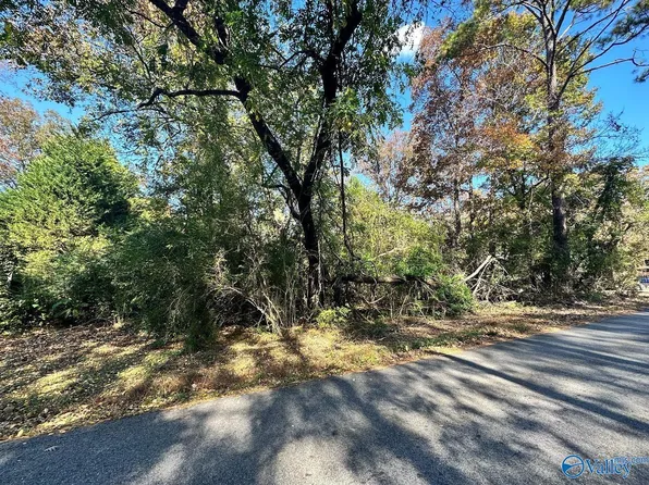LOT 13 Hill St, Rainbow City, AL 35906