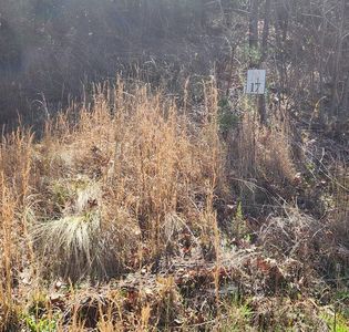 17 Lost Indian Trl, Whittier, NC, 28789