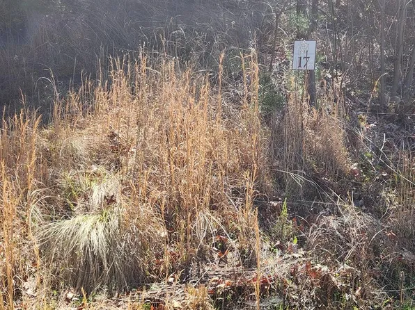 17 Lost Indian Trl, Whittier, NC 28789