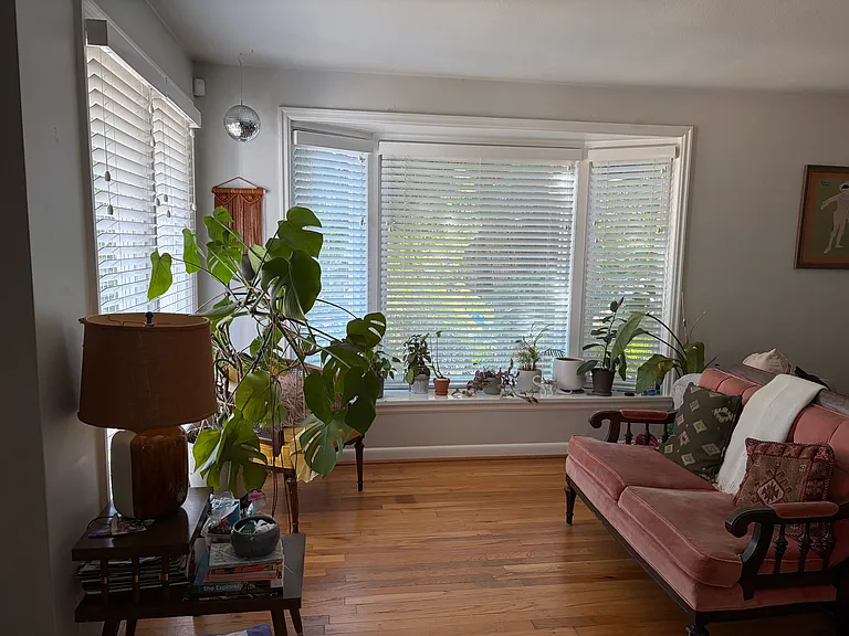 8050 36th Ave NE — Photo 3