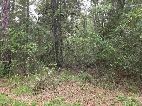 NE Shadow Ln, Hosford, FL 32334
