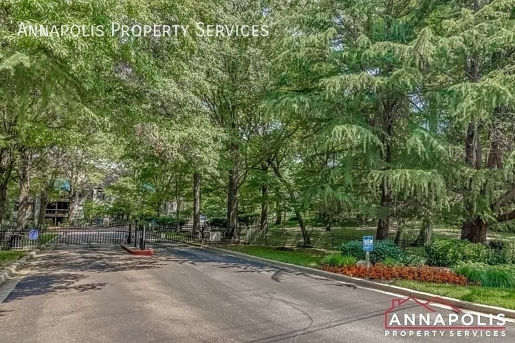 11 Spa Creek Lndg #A2 — Photo 36