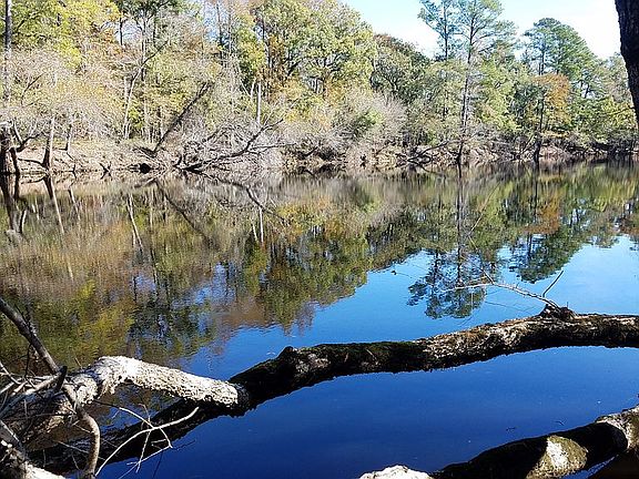 4th image of 1265 River Bend Dr