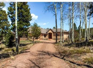 600 Elk Rdg S, Divide, CO 80814