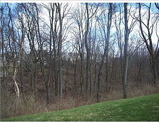 2nd image of 5020 Apple Ridge Dr