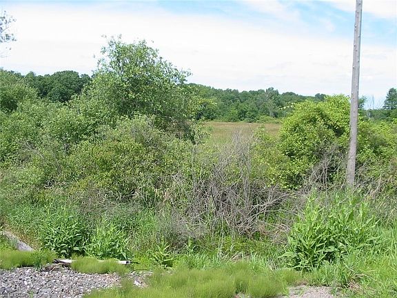 2nd image of 5589 Bradley Brownlee Rd Lot 32.81