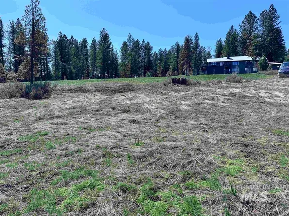 LOT 19 Hot Springs Rd, New Meadows, ID 83654