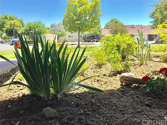 Beautiful view from front living room window