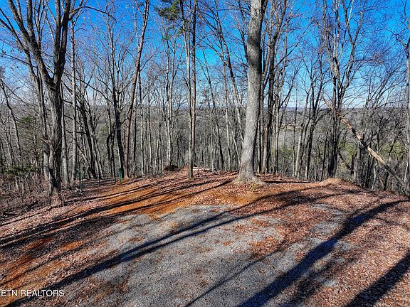 2nd image of 3474 Boone Docks Way Lot 7