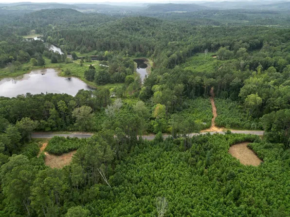 PARCEL Two Homestead Rd, Eldridge, AL 35554