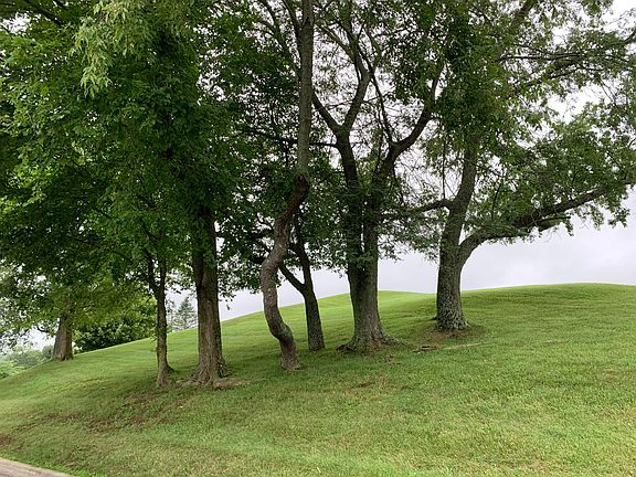 5th image of 417 Bryn Du Dr