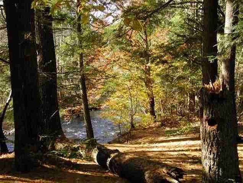 4th image of 139 HANS CREEK Road