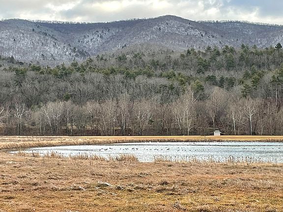 5th image of 7305 Big Back Creek Rd