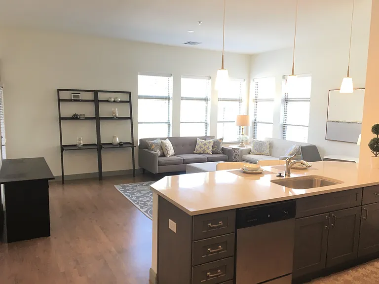 kitchen and living room