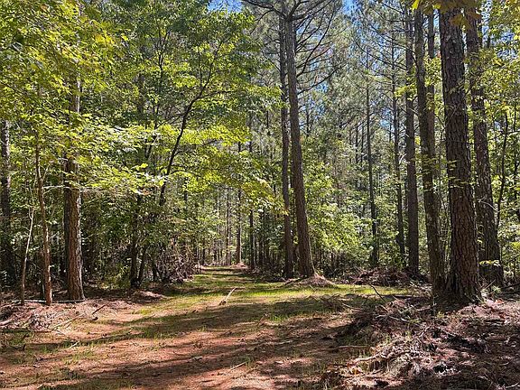 2nd image of 1090 County Road 118 #220
