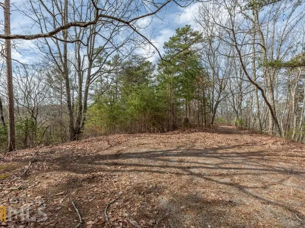 12 Brite Ct, Ranger, GA 30734