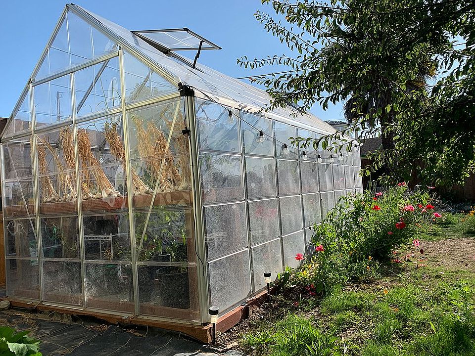Greenhouse 