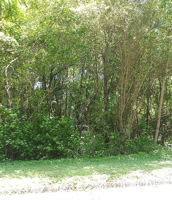 2nd image of 110 Blue Creek Ct