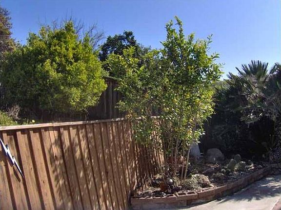Rear Patio