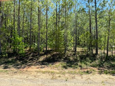 0 Lakeshore Estates Dr, Lincolnton, GA, 30817