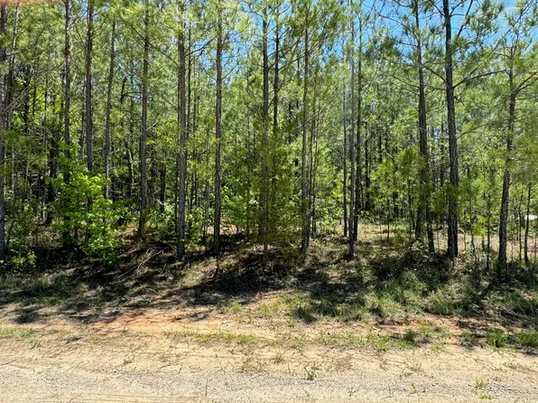0 Lakeshore Estates Drive, Lincolnton, GA