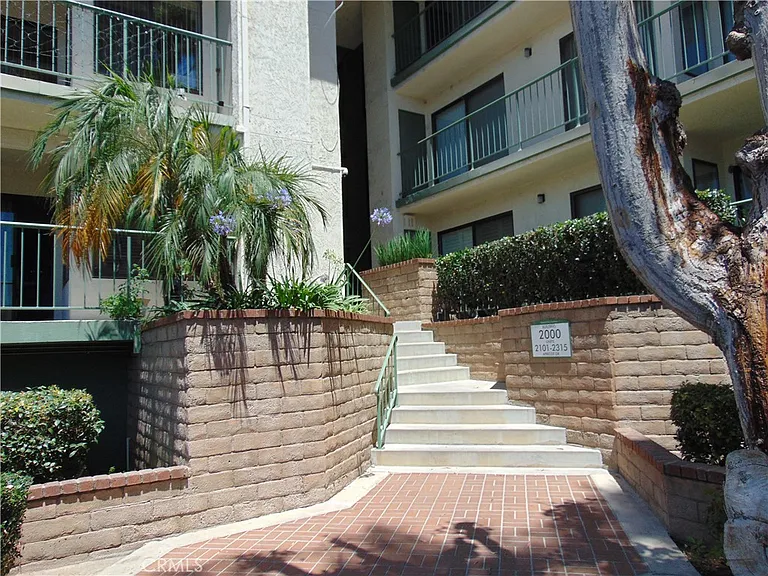 2203 Apricot — Photo 1
