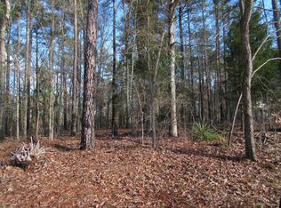 1312 Old Rd, Chapin, SC 29036