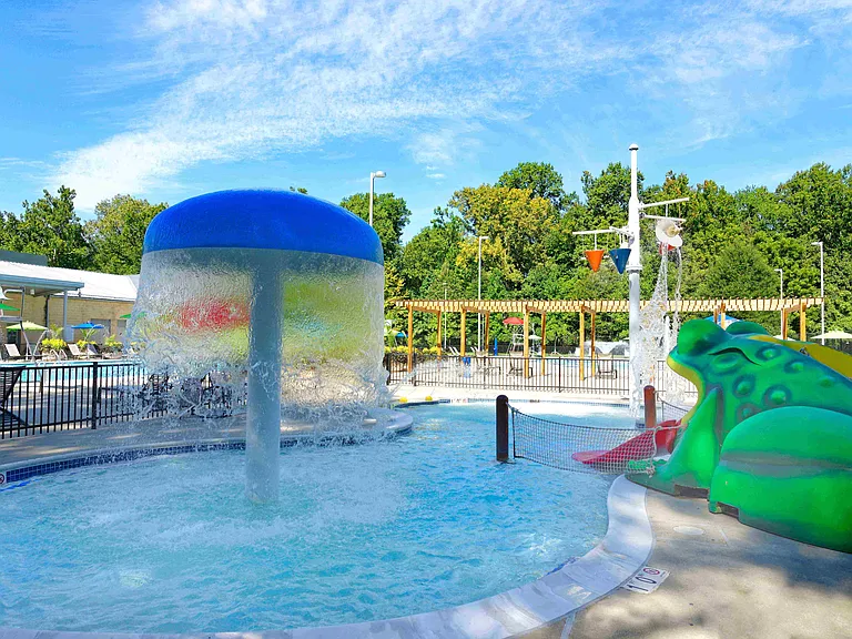 Kiddie pool with Frog Slide