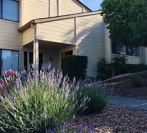 3rd image of 315-B San Marin Dr