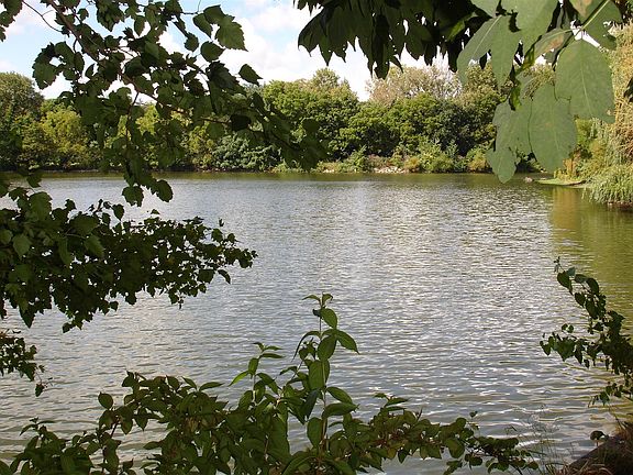 Location,location,location with stunning panoramic views of the lake facing west