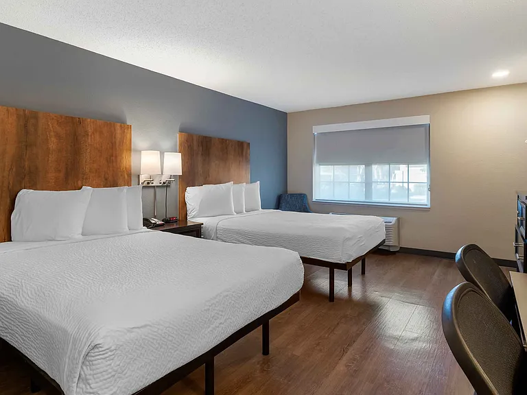 Studio Suite - 2 Queen Beds