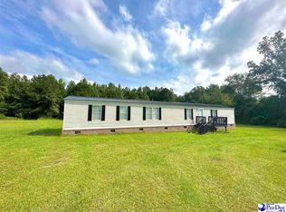 1311 Leo Rd, Manning, SC 29102
