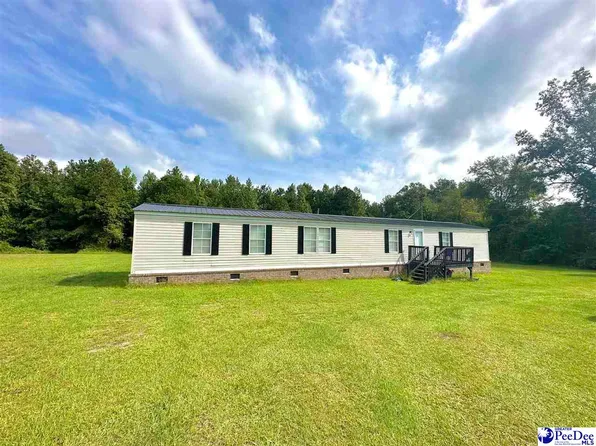 1311 Leo Rd, Manning, SC 29102