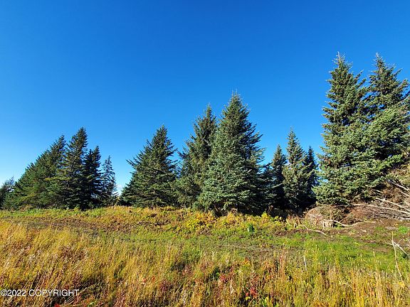 3rd image of 67572 Shavila Rd