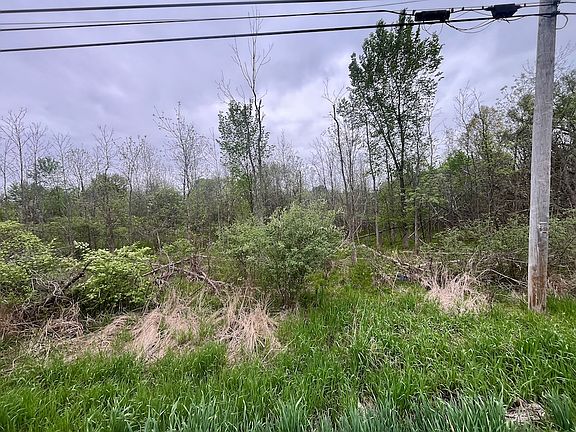 3rd image of Thompson Rd Lot Wp001