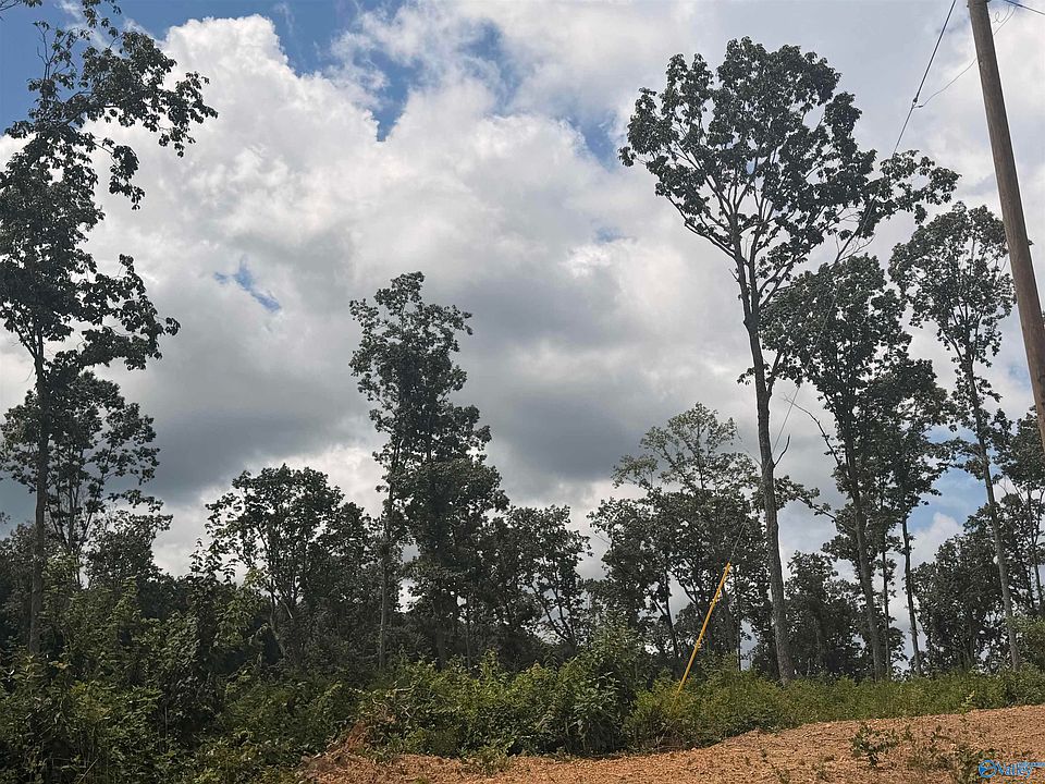 1st image of LOT 10 County Road 641