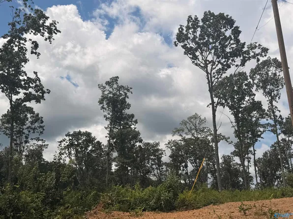 LOT 10 County Road 641, Mentone, AL 35984
