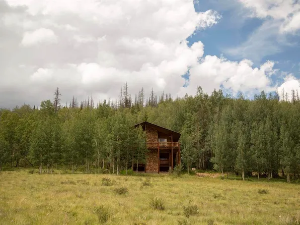 1001 CR 17 #La Garita, Lake City, CO 81235