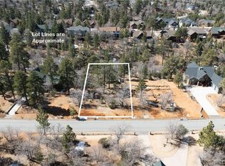1603 Angels Camp Rd, Big Bear City, CA 92314