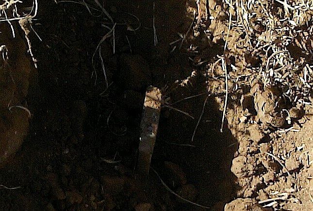 1st image of 217 N Avenue C