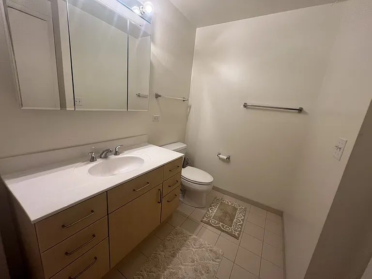 330 W Grand Ave #1105 — Photo 15