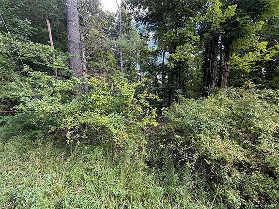 3rd image of Lot 20.1 Mt Prosper Road