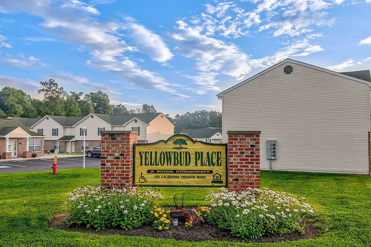 Yellowbud Place — Photo 1