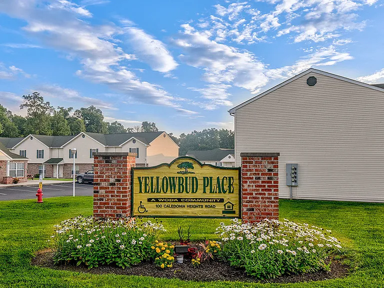 Yellowbud Place — Photo 1