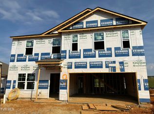 256 Chimney View Loop, Blountville, TN 37617